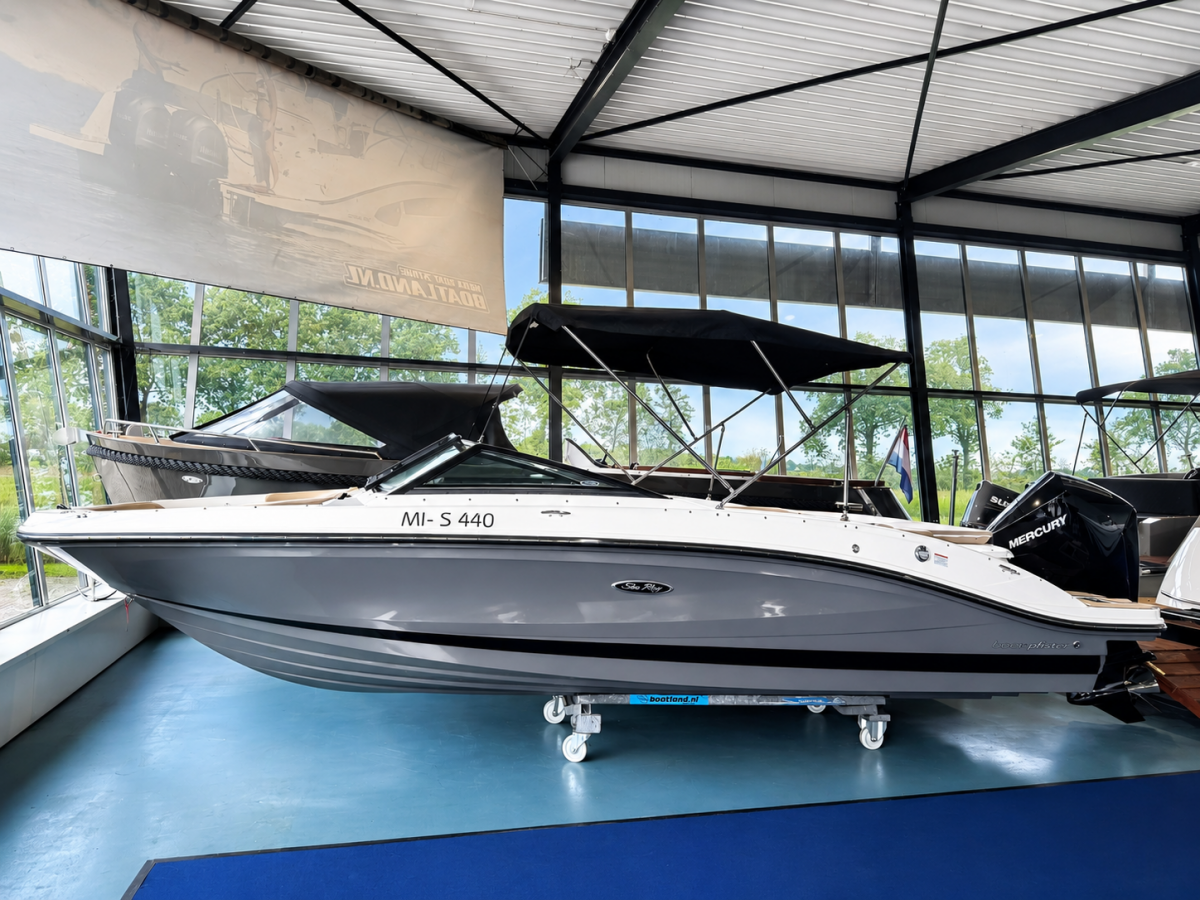 Sea Ray 210 SPX Outboard Te koop